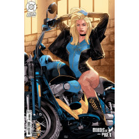 Birds of Prey #18 Cover C (Edwin Galmon Card Stock Variant)