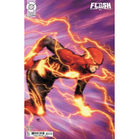 The Flash #17 Cover B (Dike Ruan Card Stock Variant)